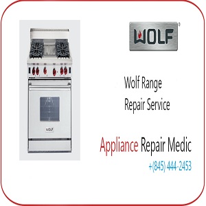 Wolf range repair